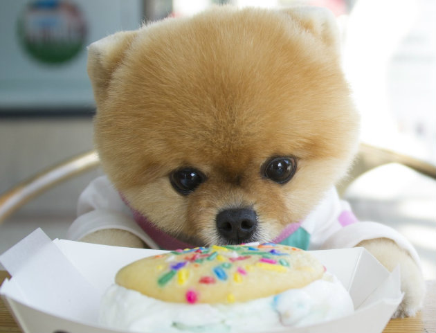 JiffPom